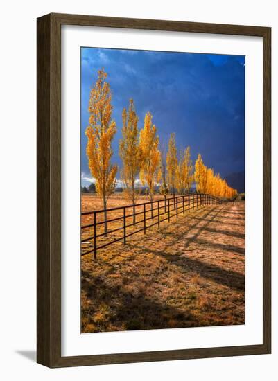 All in a Row-Bob Larson-Framed Art Print