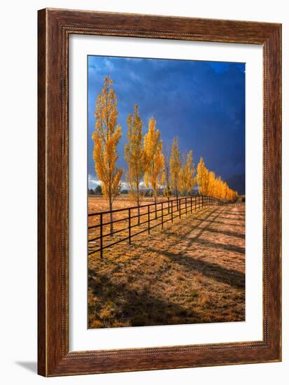 All in a Row-Bob Larson-Framed Art Print