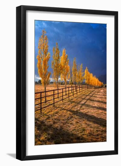 All in a Row-Bob Larson-Framed Art Print