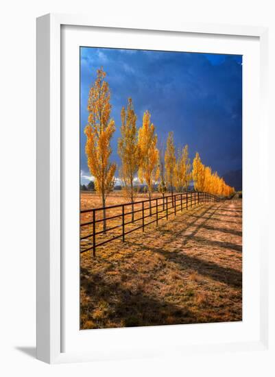 All in a Row-Bob Larson-Framed Art Print