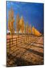 All in a Row-Bob Larson-Mounted Art Print