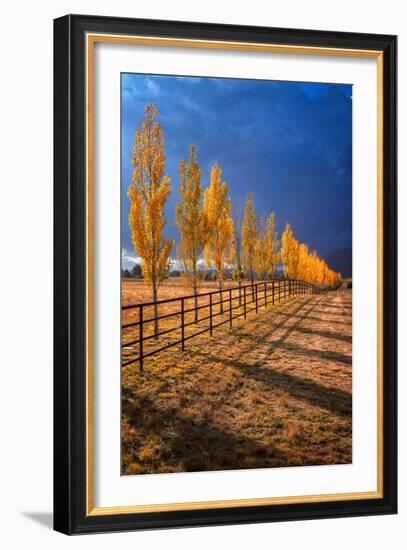 All in a Row-Bob Larson-Framed Art Print