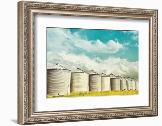 All in a Row-Annie Bailey Art-Framed Photographic Print