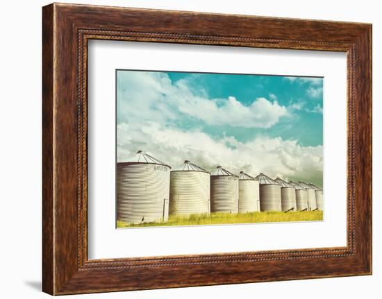 All in a Row-Annie Bailey Art-Framed Photographic Print