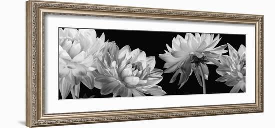 All in a Row-Caroline Kelly-Framed Photo