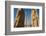 All Nations Gateway, Persepolis, UNESCO World Heritage Site, Iran, Middle East-James Strachan-Framed Photographic Print