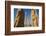 All Nations Gateway, Persepolis, UNESCO World Heritage Site, Iran, Middle East-James Strachan-Framed Photographic Print