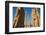 All Nations Gateway, Persepolis, UNESCO World Heritage Site, Iran, Middle East-James Strachan-Framed Photographic Print