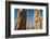 All Nations Gateway, Persepolis, UNESCO World Heritage Site, Iran, Middle East-James Strachan-Framed Photographic Print