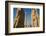 All Nations Gateway, Persepolis, UNESCO World Heritage Site, Iran, Middle East-James Strachan-Framed Photographic Print