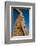 All Nations Gateway, Persepolis, UNESCO World Heritage Site, Iran, Middle East-James Strachan-Framed Photographic Print