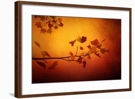 All Precious Things-Philippe Sainte-Laudy-Framed Photographic Print