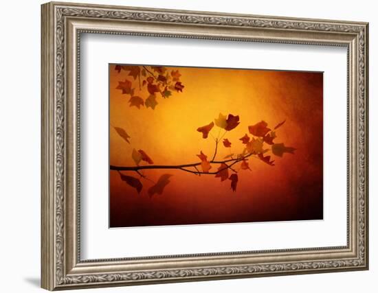 All Precious Things-Philippe Sainte-Laudy-Framed Photographic Print