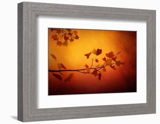 All Precious Things-Philippe Sainte-Laudy-Framed Photographic Print