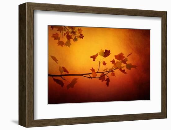 All Precious Things-Philippe Sainte-Laudy-Framed Photographic Print