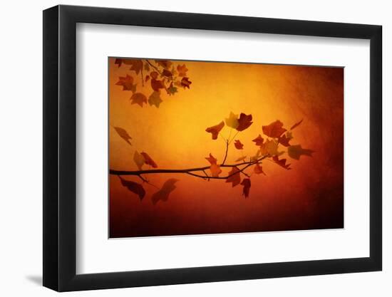 All Precious Things-Philippe Sainte-Laudy-Framed Photographic Print