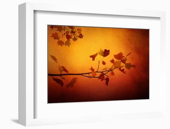 All Precious Things-Philippe Sainte-Laudy-Framed Photographic Print