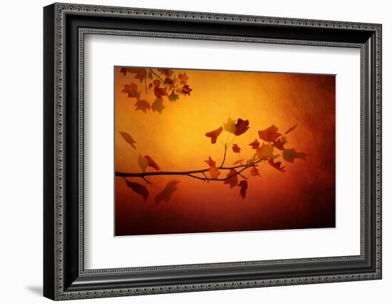 All Precious Things-Philippe Sainte-Laudy-Framed Photographic Print