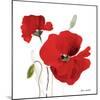 All Red Poppies I-Lanie Loreth-Mounted Art Print