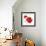All Red Poppies I-Lanie Loreth-Framed Art Print displayed on a wall