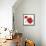 All Red Poppies I-Lanie Loreth-Framed Stretched Canvas displayed on a wall