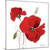 All Red Poppies I-Lanie Loreth-Mounted Art Print