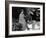 All That Heaven Allows, Jane Wyman, Rock Hudson, 1955-null-Framed Photo