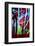 All That Jazz-Ursula Abresch-Framed Photographic Print