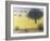 All That Yellow-Pat Scott-Framed Giclee Print