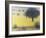 All That Yellow-Pat Scott-Framed Giclee Print