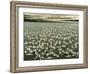 All the People , 1982-Evelyn Williams-Framed Giclee Print