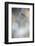 All the Small Things-Fabien Bravin-Framed Photographic Print