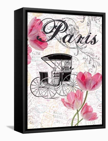 All Things Paris 4-Sheldon Lewis-Framed Stretched Canvas