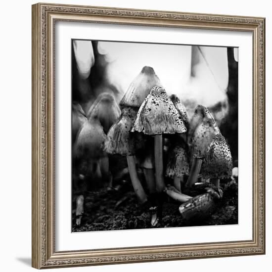 All Together-Henriette Lund Mackey-Framed Photographic Print