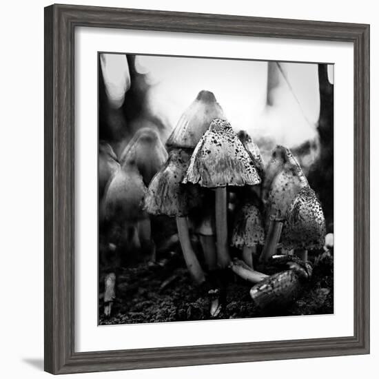 All Together-Henriette Lund Mackey-Framed Photographic Print