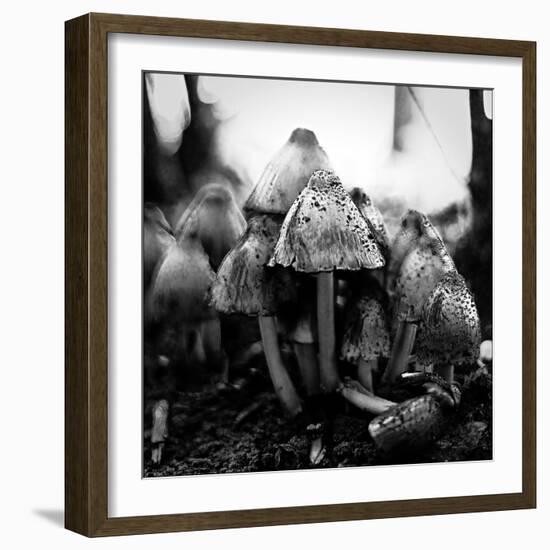 All Together-Henriette Lund Mackey-Framed Photographic Print