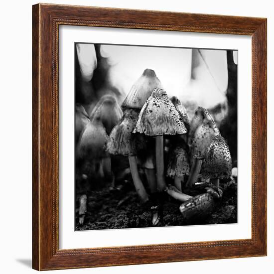 All Together-Henriette Lund Mackey-Framed Photographic Print