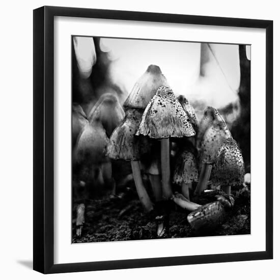 All Together-Henriette Lund Mackey-Framed Photographic Print