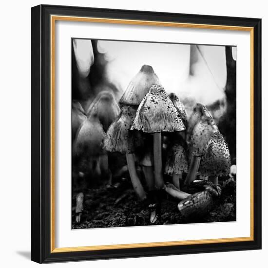 All Together-Henriette Lund Mackey-Framed Photographic Print