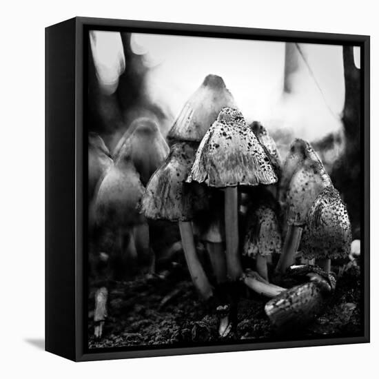 All Together-Henriette Lund Mackey-Framed Premier Image Canvas