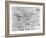 All Types of Eyeglasses-Ralph Morse-Framed Photographic Print