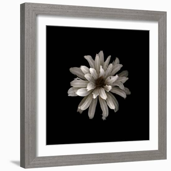 All White-PhotoINC-Framed Photographic Print