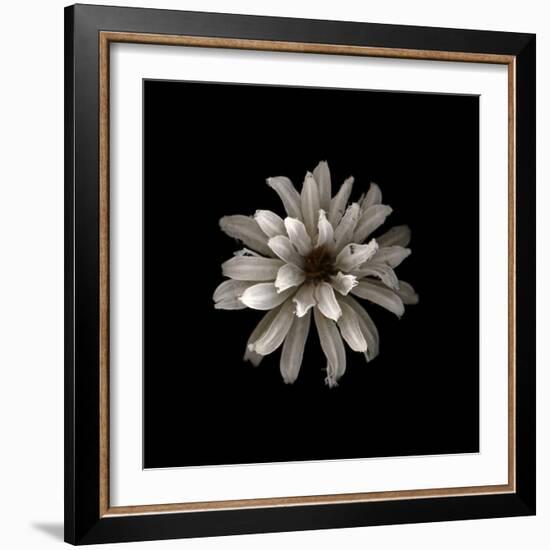 All White-PhotoINC-Framed Photographic Print