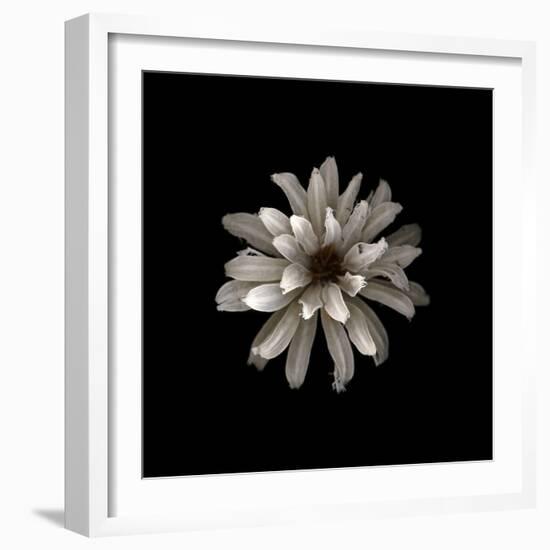 All White-PhotoINC-Framed Photographic Print