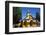 All Wood Church in the Fishing Village of Quemchi, Island of Chiloe, Chile-Peter Groenendijk-Framed Photographic Print