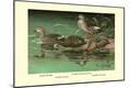 Premium Giclee Print