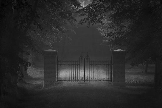 Photographic Print, , large