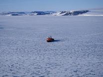 Weddell Sea, Riiser-Larsen Ice Shelf, Emperor Penguins and Chick, Antarctica-Allan White-Photographic Print