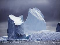 Scotia Sea, Chinstrap Penguins on Iceberg, Antarctica-Allan White-Framed Premier Image Canvas