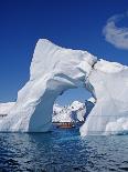 Scotia Sea, Chinstrap Penguins on Iceberg, Antarctica-Allan White-Photographic Print